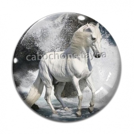 Cabochon Verre - cheval