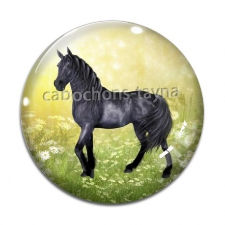 Cabochon Verre - cheval