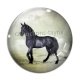 Cabochon Verre - cheval
