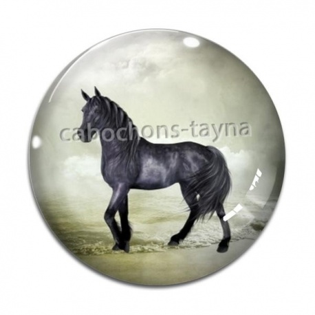 Cabochon Verre - cheval
