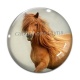 Cabochon Verre - cheval