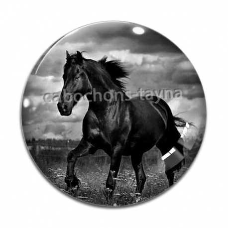 Cabochon Verre - cheval