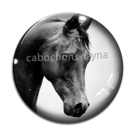 Cabochon Verre - cheval