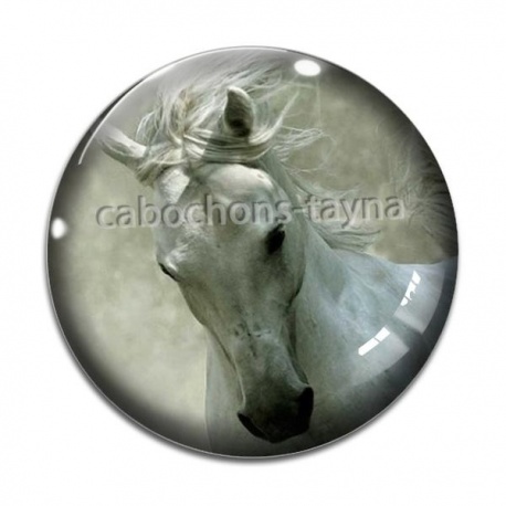 Cabochon Verre - cheval