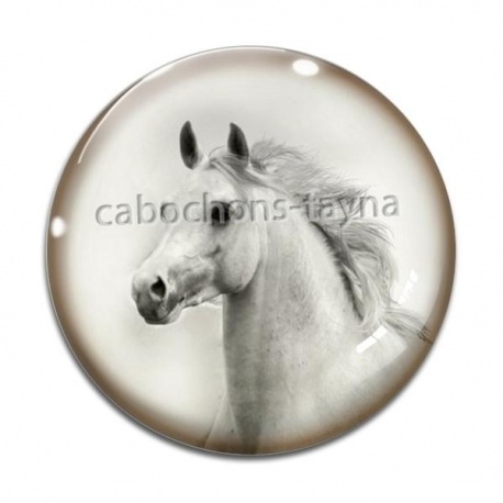 Cabochon Verre - cheval