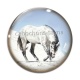 Cabochon Verre - cheval
