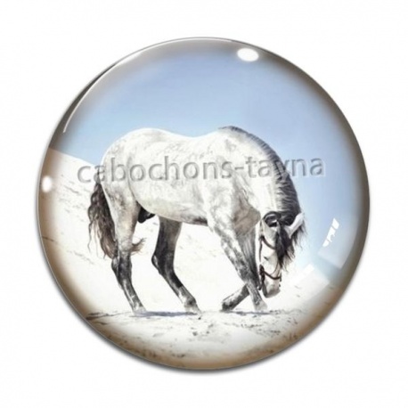 Cabochon Verre - cheval