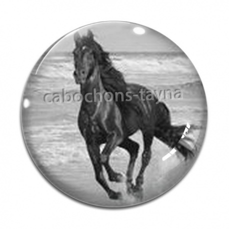 Cabochon Verre - cheval