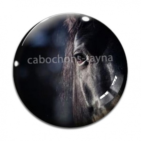 Cabochon Verre - cheval