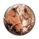 Cabochon Verre - cheval