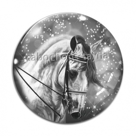 Cabochon Verre - cheval
