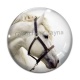Cabochon Verre - cheval