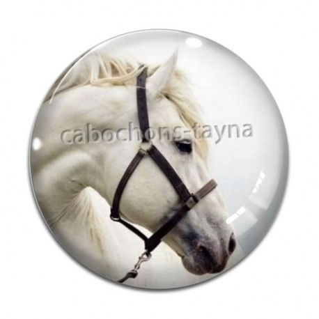 Cabochon Verre - cheval