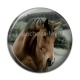 Cabochon Résine - cheval