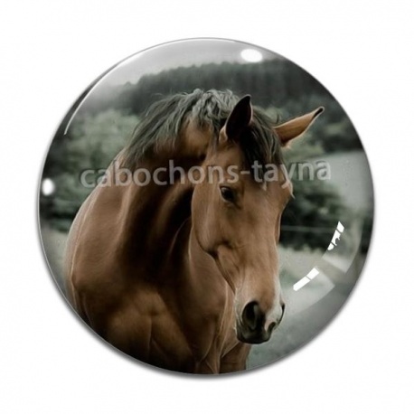 Cabochon Verre - cheval