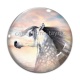 Cabochon Verre - cheval