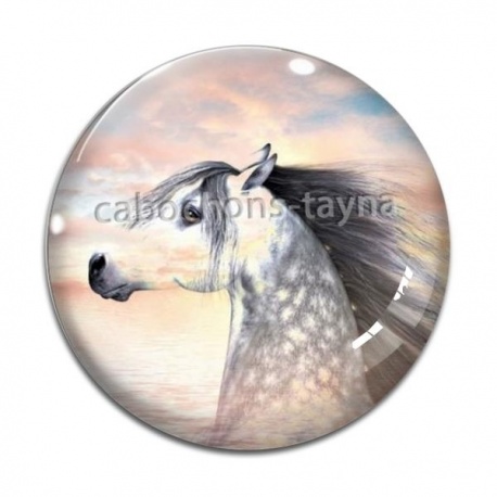 Cabochon Verre - cheval