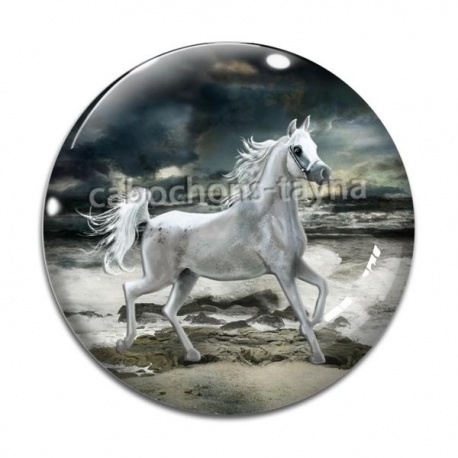 Cabochon Verre - cheval