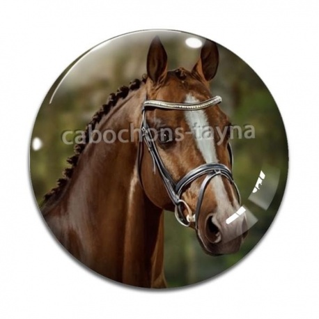 Cabochon Verre - cheval