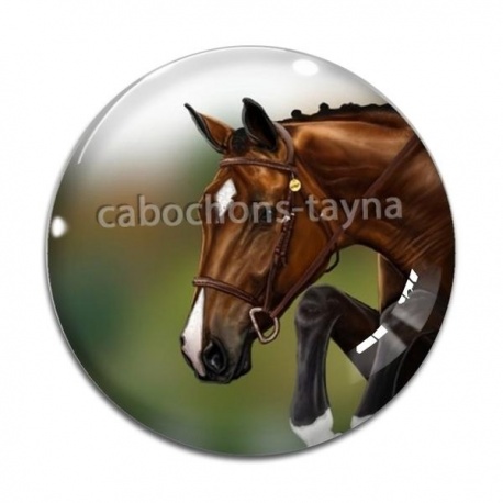 Cabochon Verre - cheval
