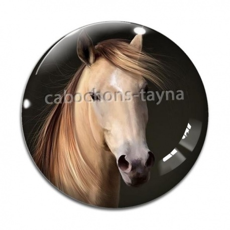 Cabochon Verre - cheval