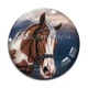 Cabochon Verre - cheval