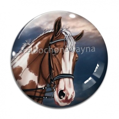 Cabochon Verre - cheval