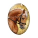 Cabochon Verre Ovale - cheval