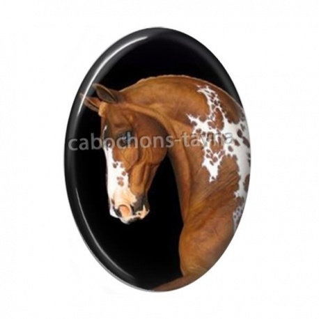 Cabochon Résine Ovale - cheval