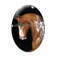 Cabochon Verre Ovale - cheval