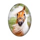 cheval