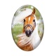 Cabochon Verre Ovale - cheval