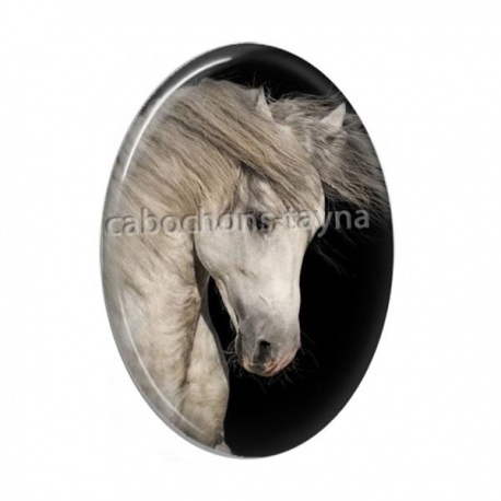 Cabochon Résine Ovale - cheval