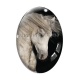 Cabochon Verre Ovale - cheval