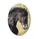 Cabochon Verre Ovale - cheval