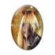 Cabochon Verre Ovale - cheval