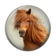 Cabochon Résine - cheval