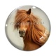 Cabochon Verre - cheval