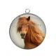 Pendentif Cabochon Argent - cheval