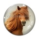 Cabochon Verre - cheval