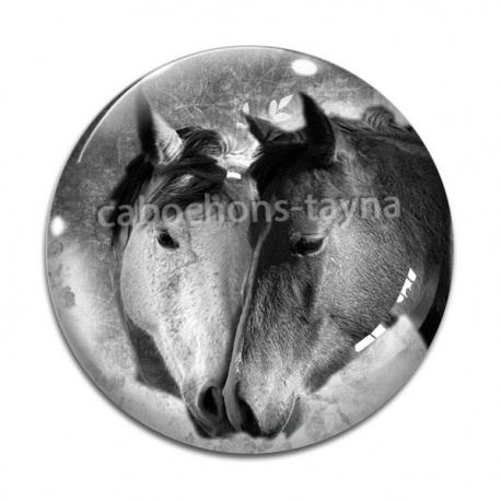 Cabochon Verre - cheval