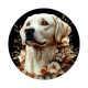 chien