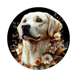 chien