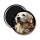Magnet's - chien