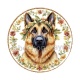 chien