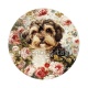chien
