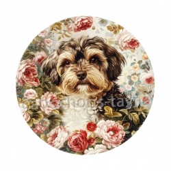 chien