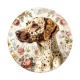 chien