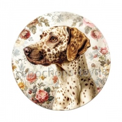 chien