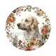 chien